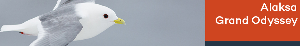 L1050402