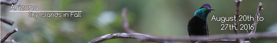 L1050193